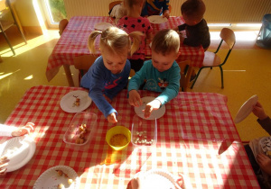 Dzieci segregują nasiona i cebulki ze względu na kształt i wielkość.